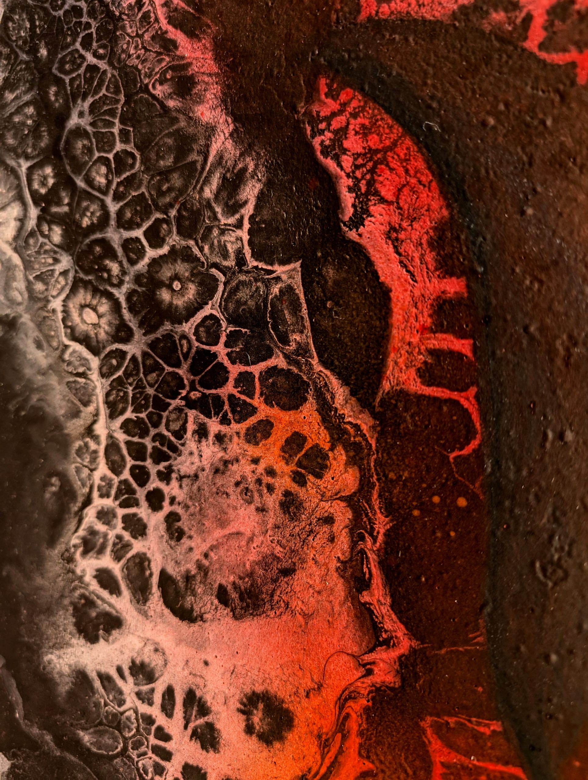 Details "Silent observer" by Tereza Vodáková 2025